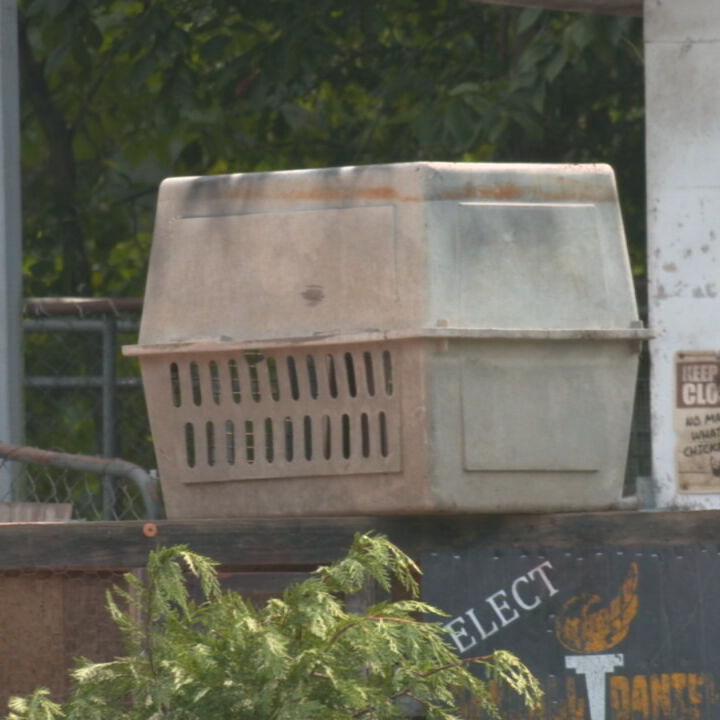 Shepherdsville animal farm remnants 7-24-24